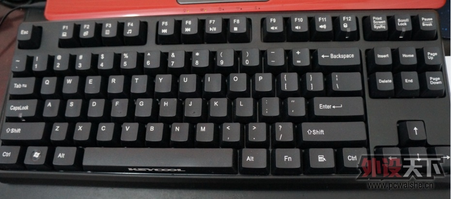 55.jpg