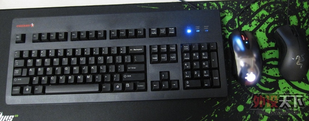 δ1.jpg