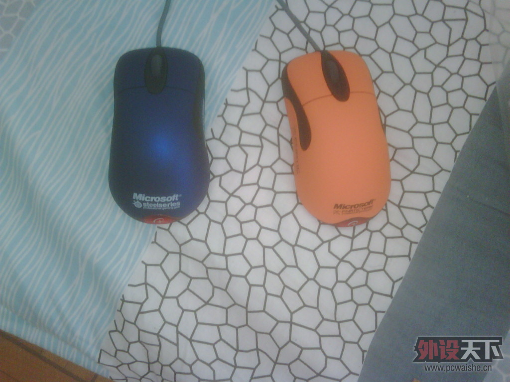 IMG00312-20130111-1130.jpg