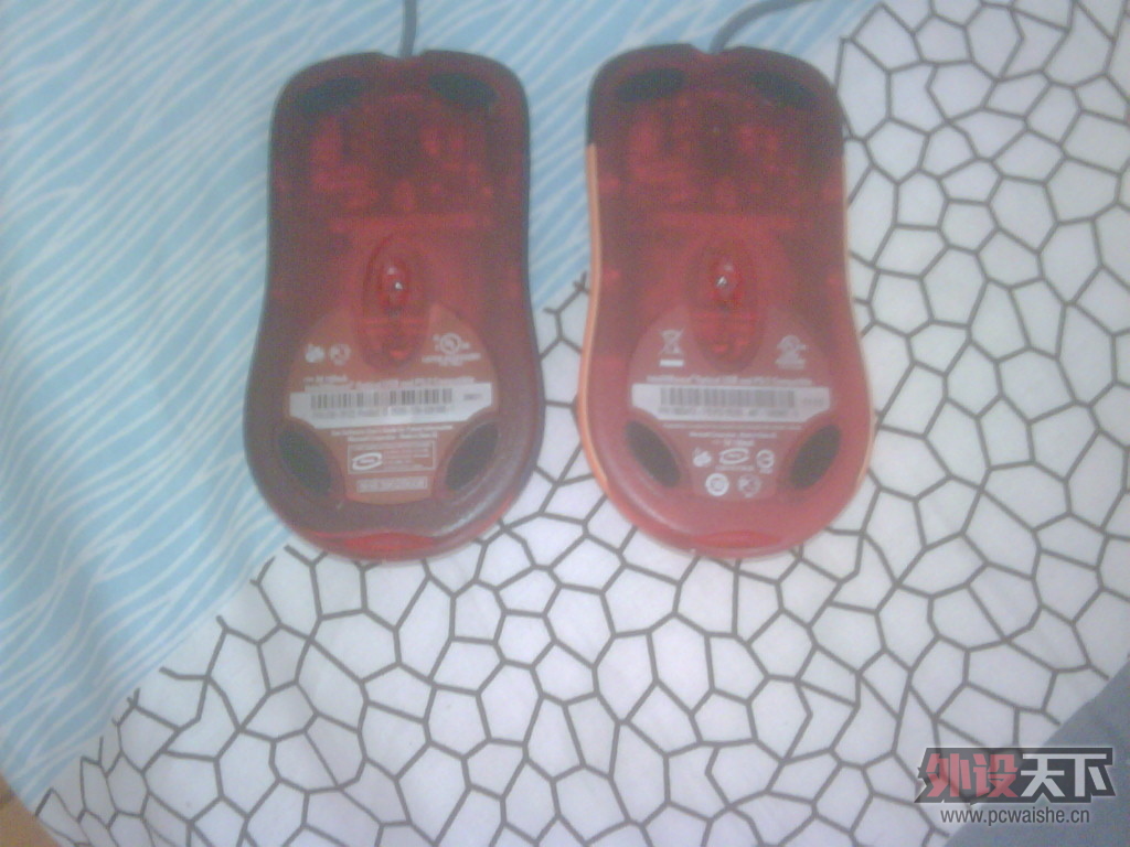 IMG00313-20130111-1130.jpg