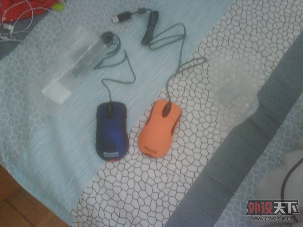 IMG00314-20130111-1131.jpg