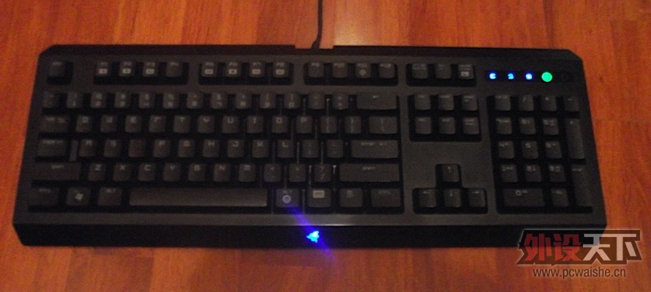 487.jpg