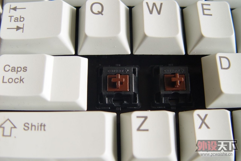 �������Ѽ��̳��������Լ�����DUCKY�ĵ��᣿