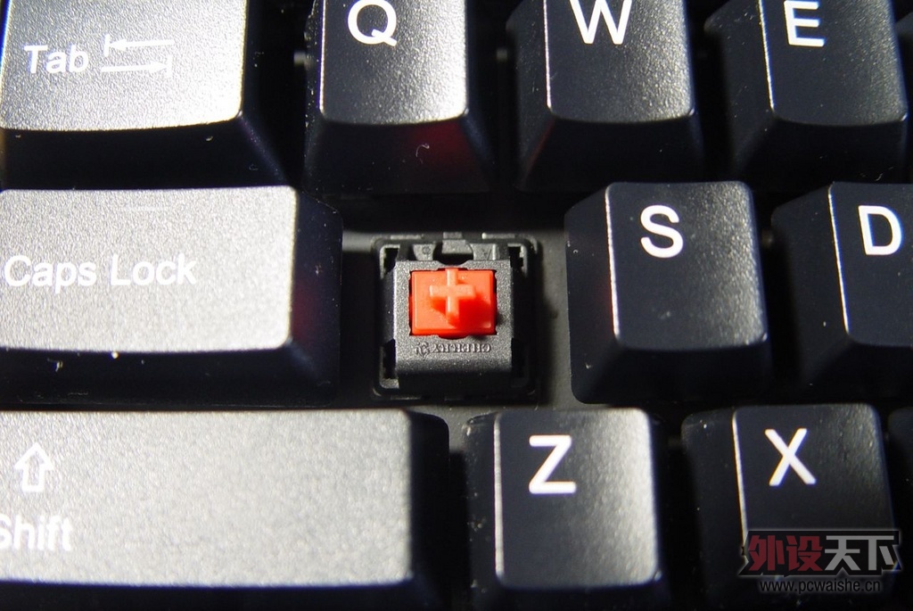 �������Ѽ��̳��������Լ�����DUCKY�ĵ��᣿