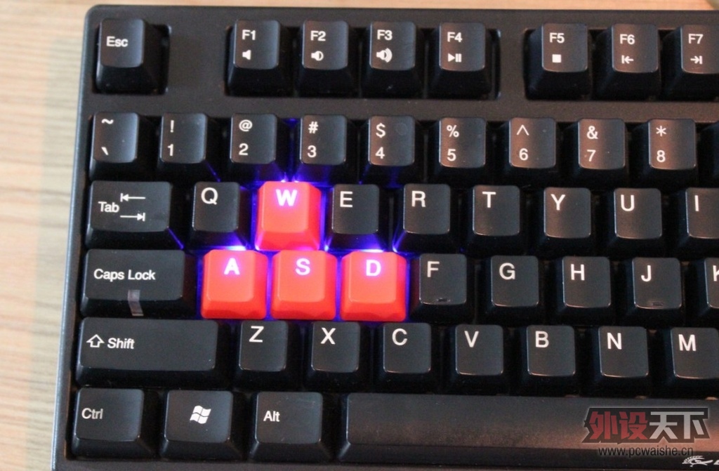 sdrgasdddsgrh.jpg
