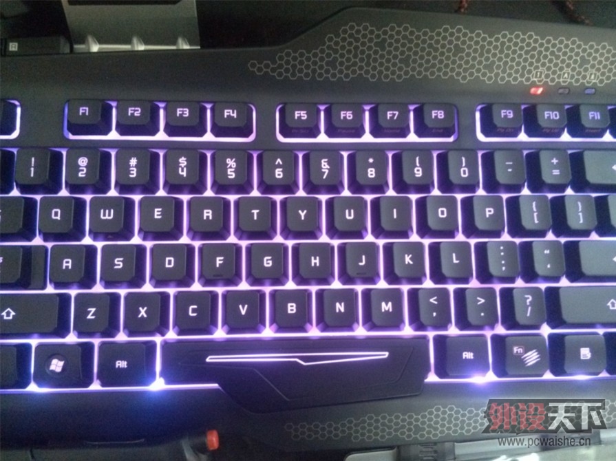 [�������]  ����ʨ ���ѿ� S.T.R.I.K.E. 5 �ս���5 �ɱ�̱������ �䵱ȫ��