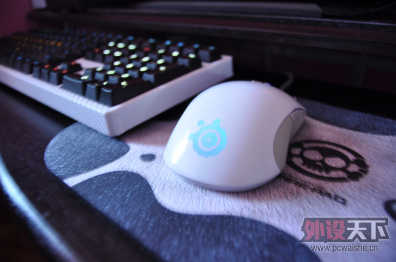 [15P] ˪��raw+ducky 9008 S2