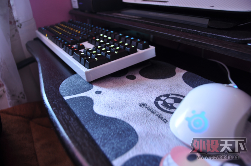 [15P] ˪��raw+ducky 9008 S2