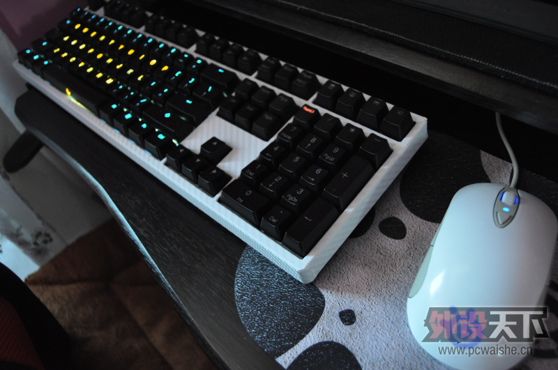 [15P] ˪��raw+ducky 9008 S2