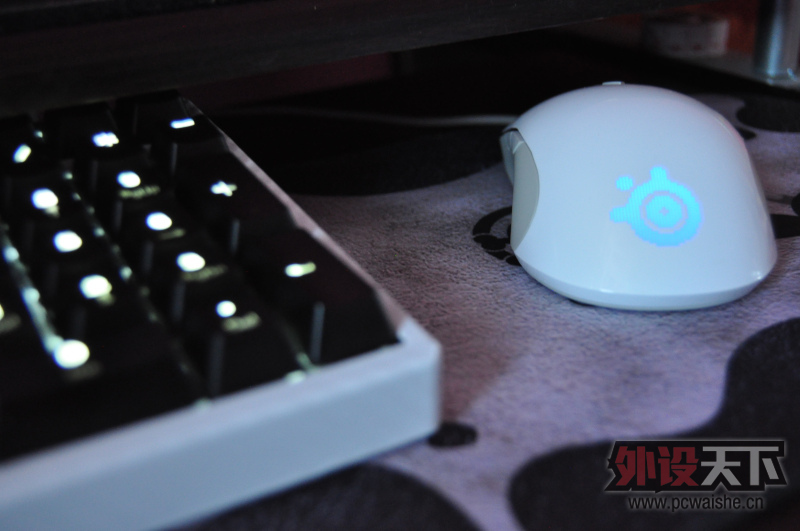 [15P] ˪��raw+ducky 9008 S2