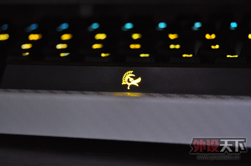 [15P] ˪��raw+ducky 9008 S2