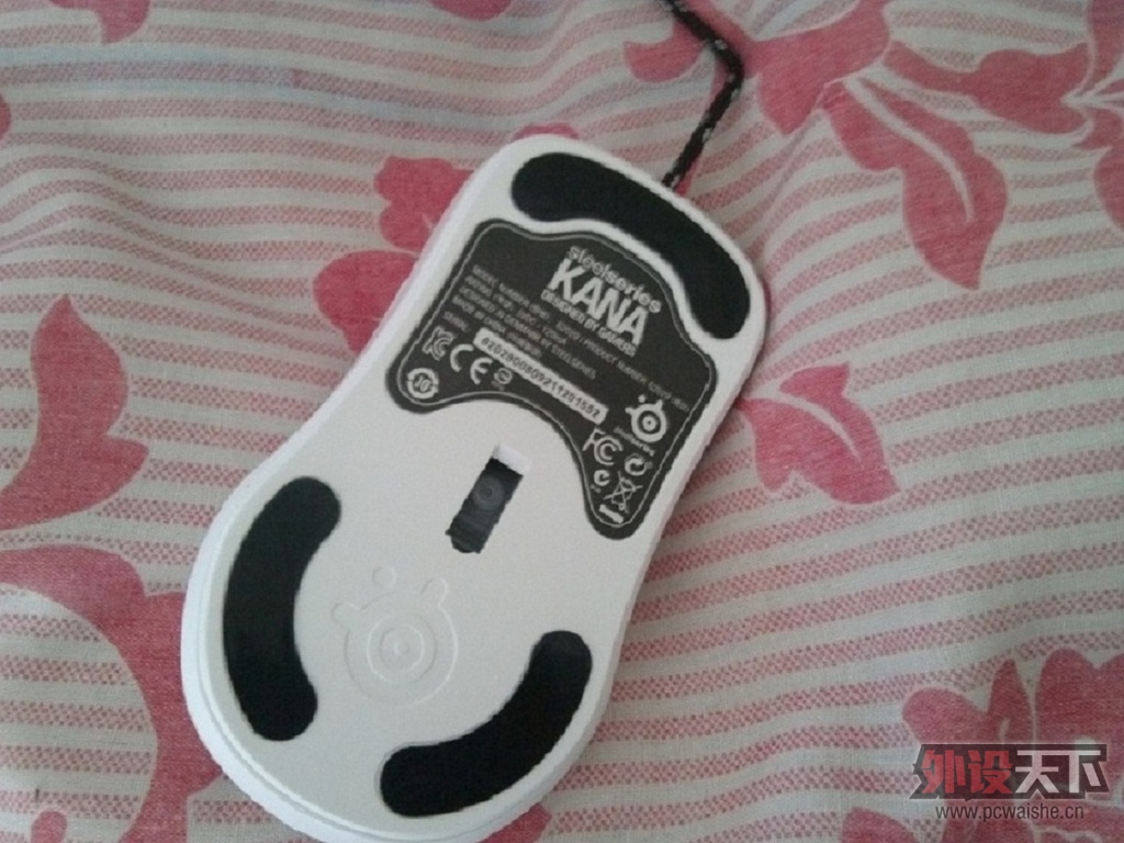 ��� KANA ��� ��ɫ 9�� ���� ��˳�磨�ѳ� ������