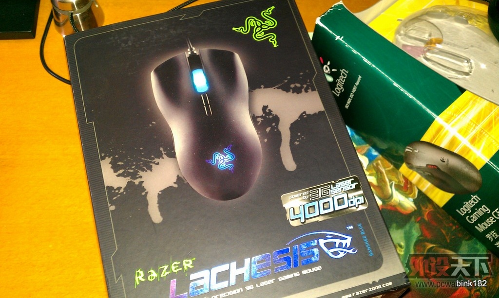 IMAG0167.jpg