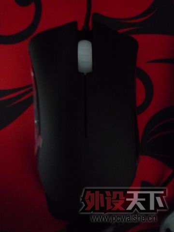 ������С P1010880.JPG