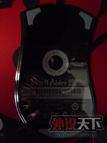 ������С P1010881.JPG