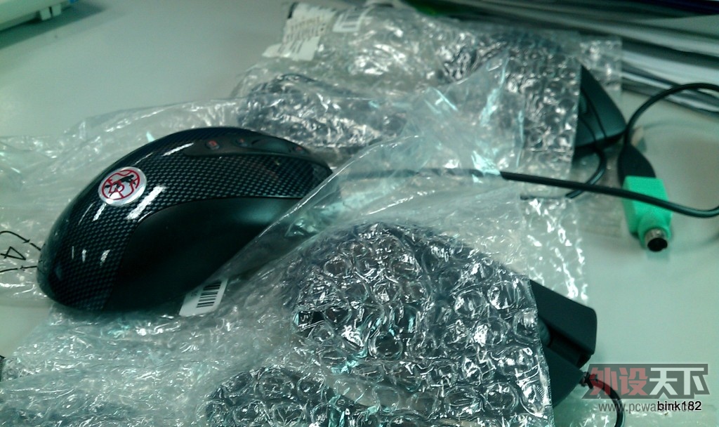 IMAG0383.jpg