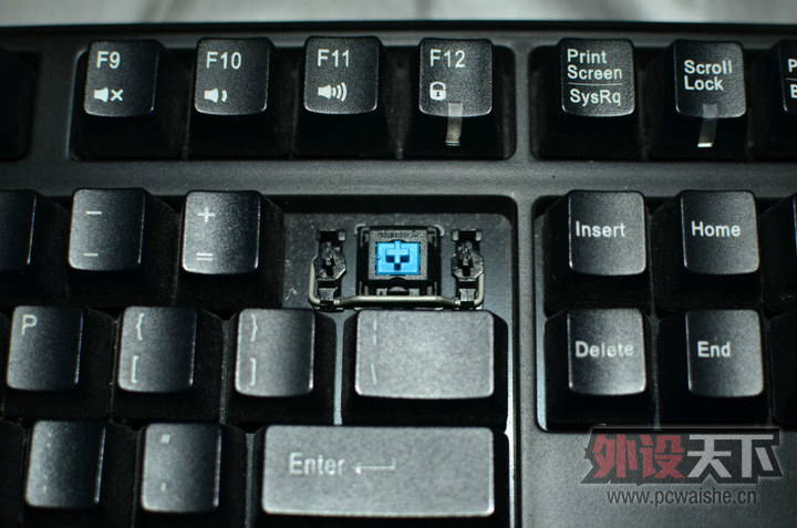 ���ǵ�ëүүȥ����� --ducky��chocpro�����ᡢfilco�򵥺���