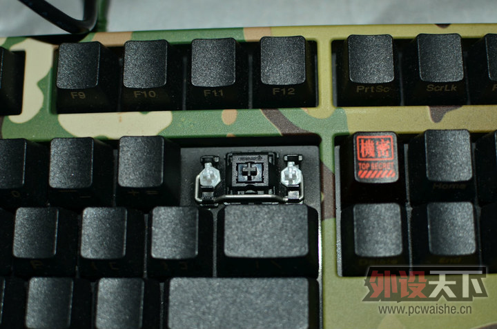 ���ǵ�ëүүȥ����� --ducky��chocpro�����ᡢfilco�򵥺���