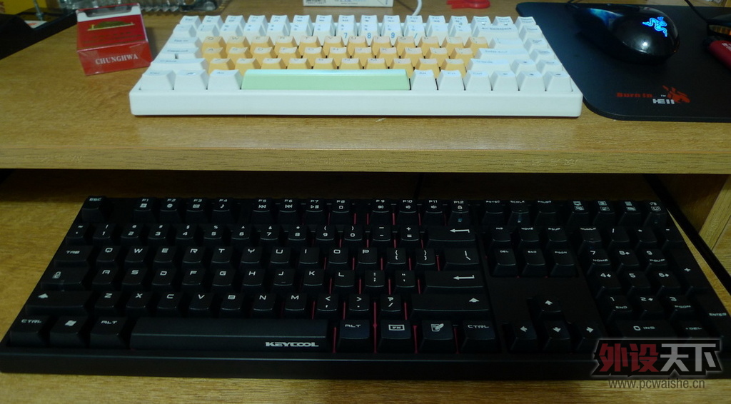P1000584.jpg