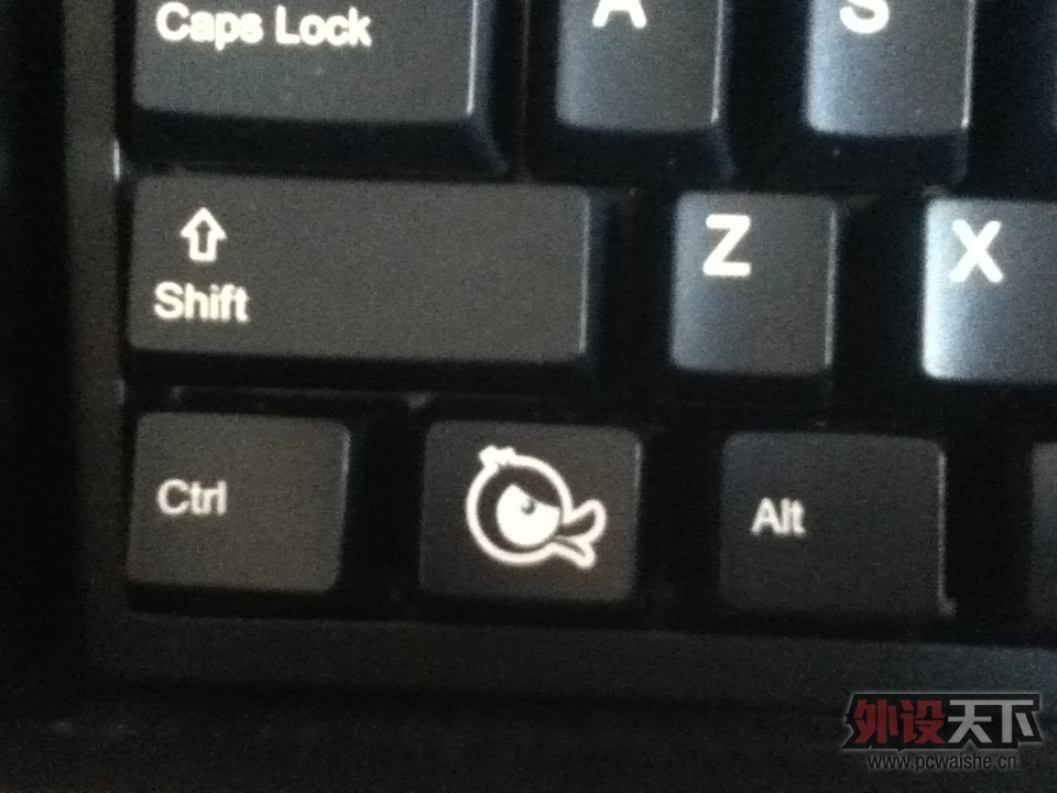 WINDOS��