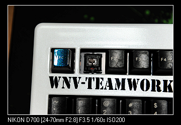 DSC_2517.jpg