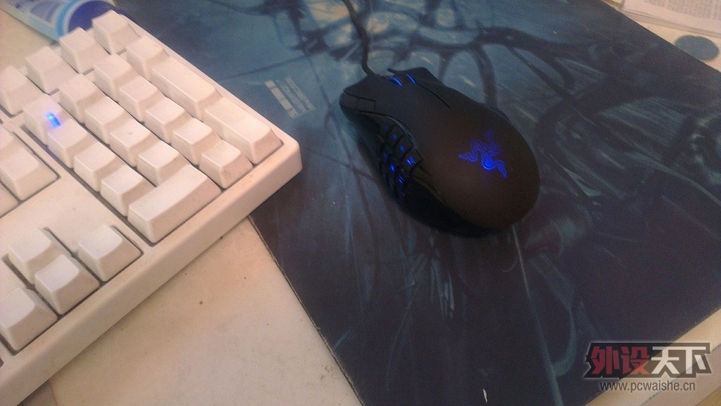 ��٤������ͨ�棬naga���㻦 200��SF