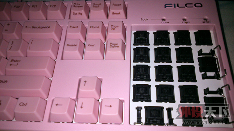 [20P] Filco����PINK104����α����
