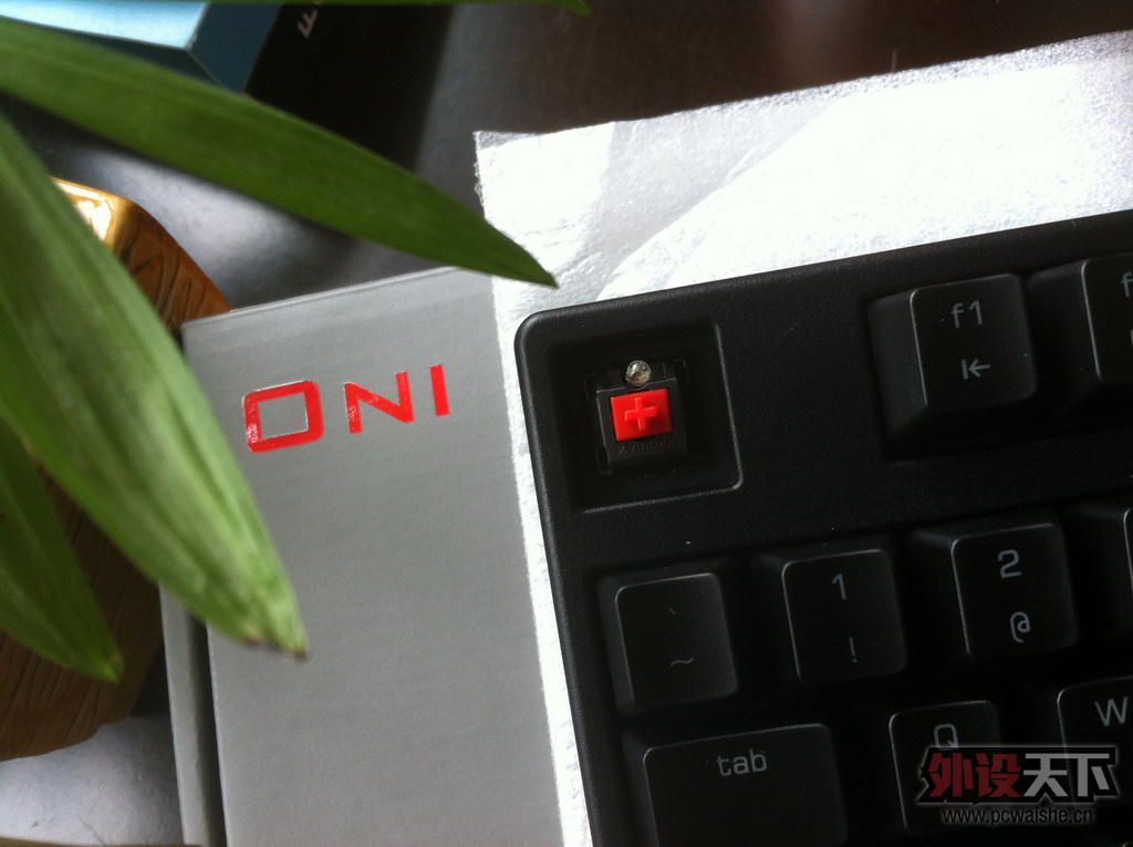 ������������ᣡ--kbt oni ���� �������� ~~~~~~~~