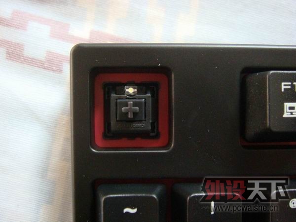 ������С DSC02404.JPG