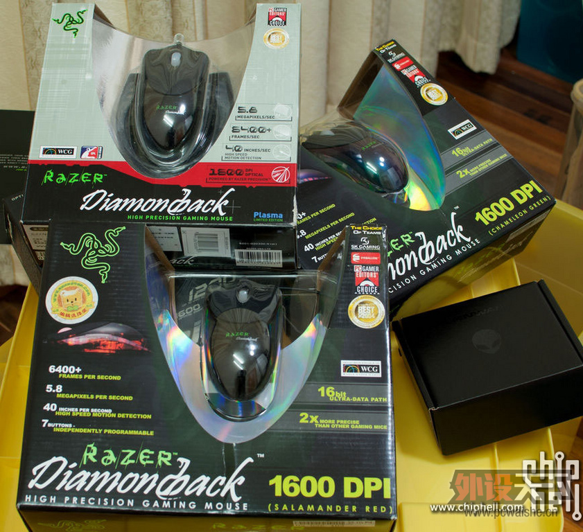 ��β�߱�ɫ��Diamondback ˭�����Ѫ����