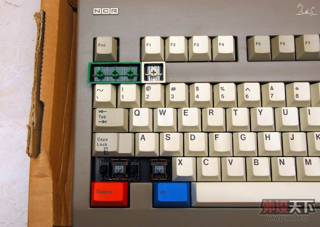 ӣҸҡ ֶưԭԭRGB