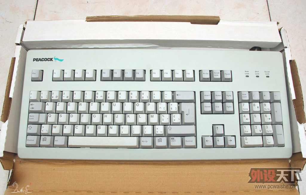 ӣҸҡ ֶưԭԭRGB