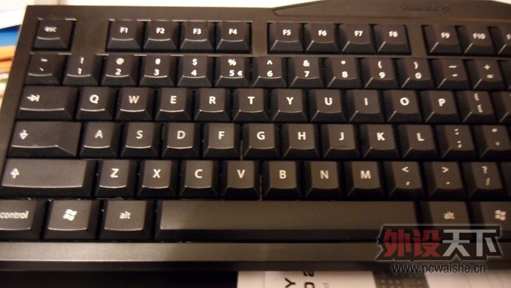 SAM_0993.JPG