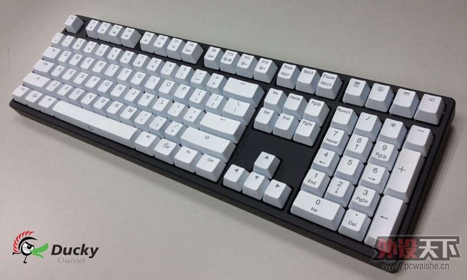 Ducky NAIP