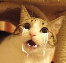 �ײⷢ��������һֱ������```
