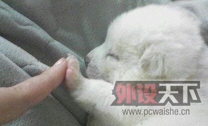 IMG20130226213115.jpg