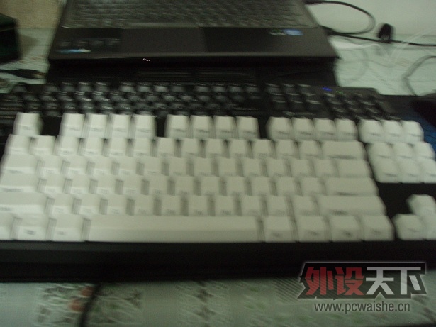 P1010113.JPG