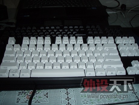 P1010114.JPG