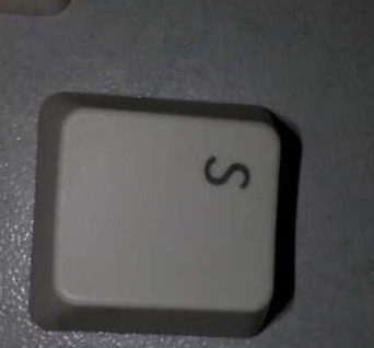 333.jpg
