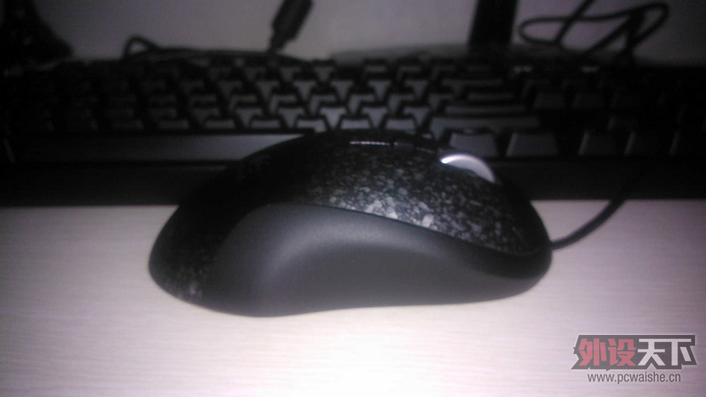 WP_000077.jpg