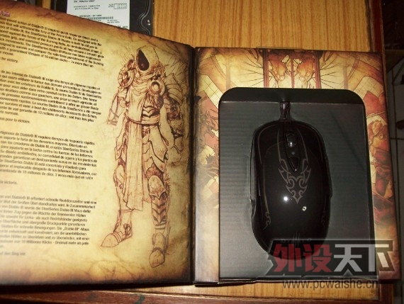 d3.jpg