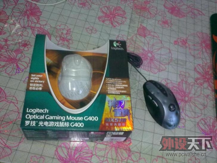 T1LjJwXu0gXXckNx_X_728x728.jpg