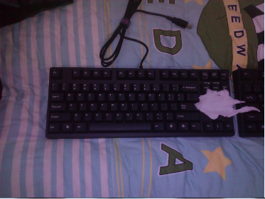 HPE87⣬Filco87ʥֶԱ