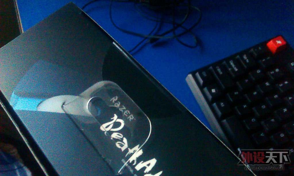IMAG0203.jpg