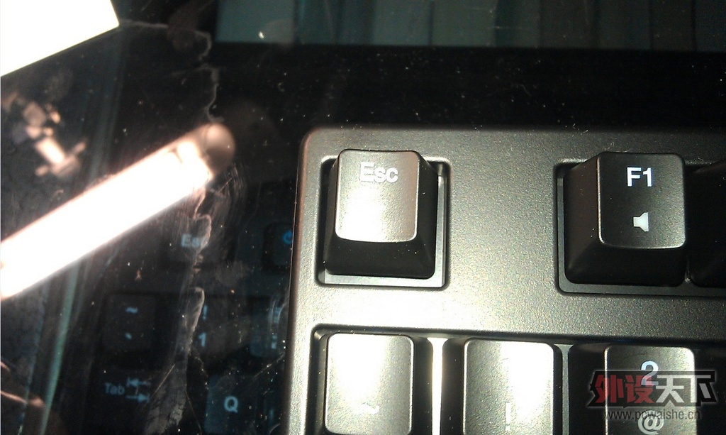 ducky9087S2~~~