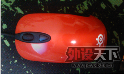 kinzu red �����е��