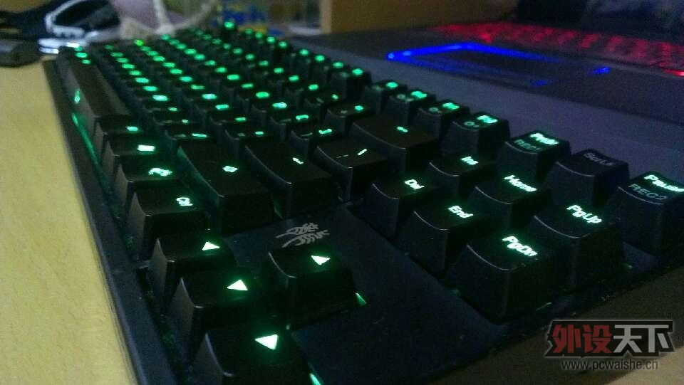 ����һ�ѣ�Ducky �̵ƺ������꣬��ӭ�ﶥ��  �ѳ����������