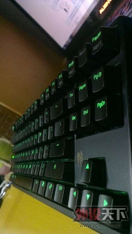 ����һ�ѣ�Ducky �̵ƺ������꣬��ӭ�ﶥ��  �ѳ����������