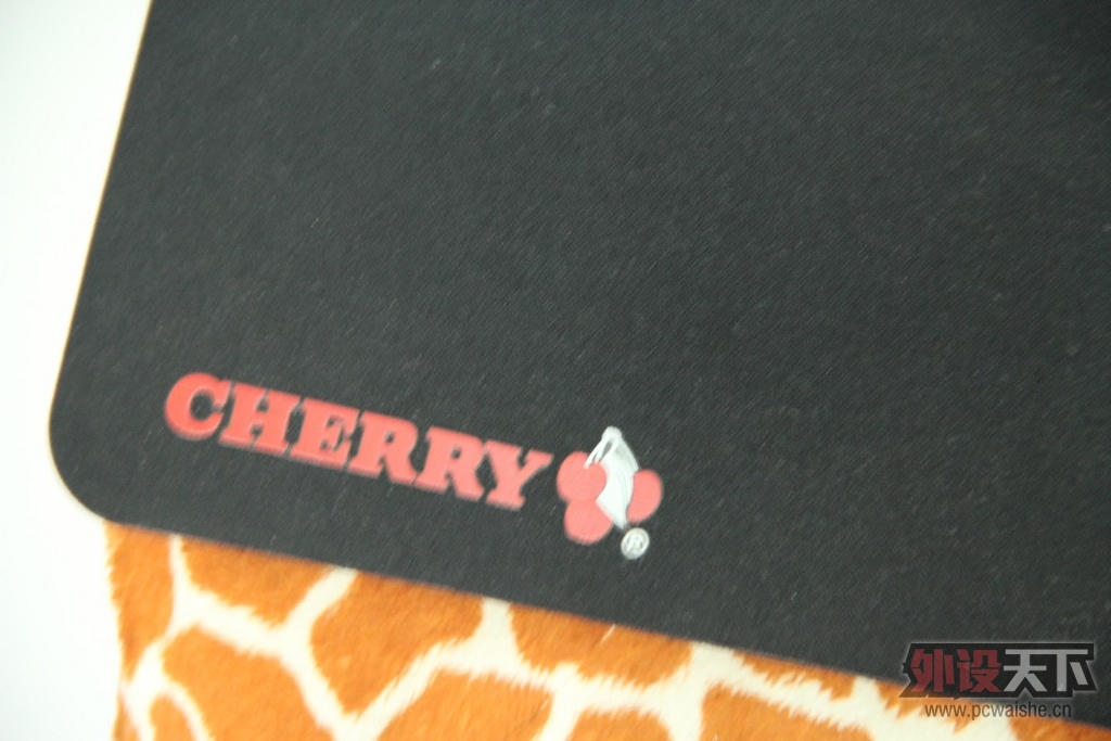 30 ӣ(Cherry)ά˳  ʷ
