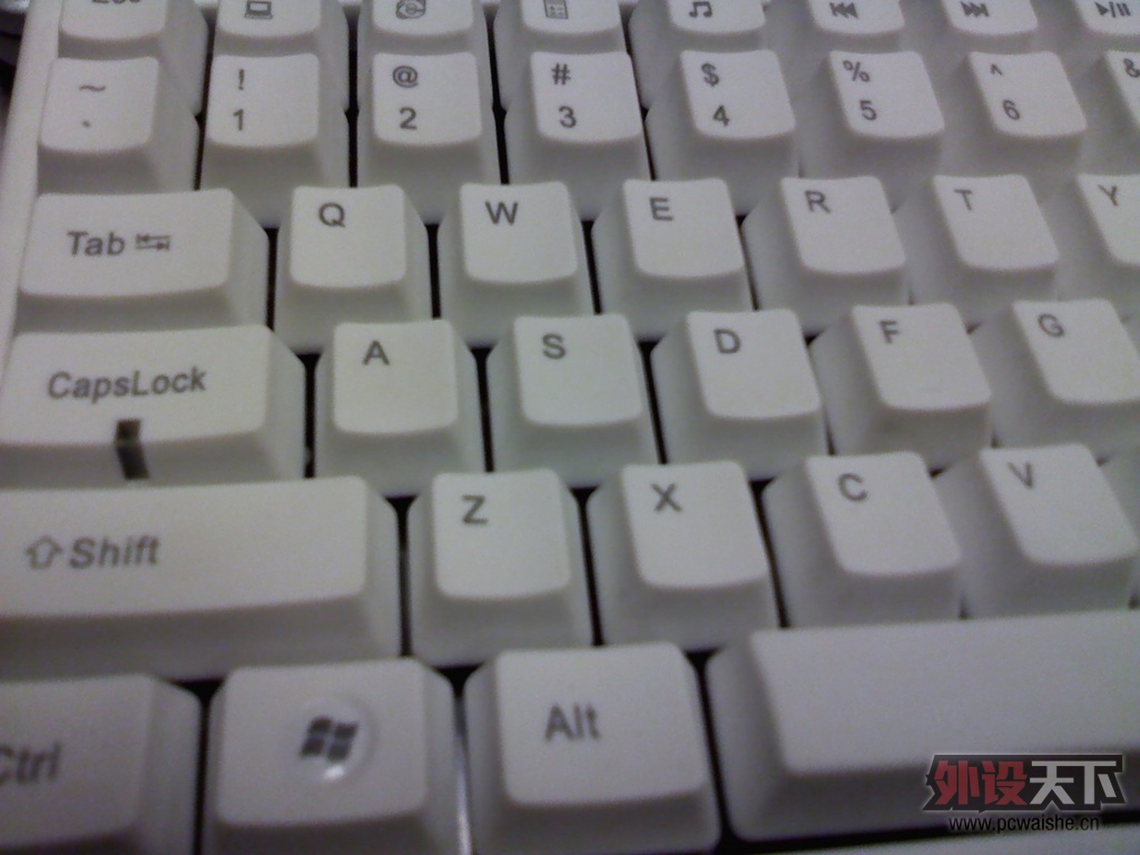 [���] ����84PBT���� 260��˳�� 9��
